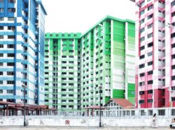 Property Rehabilitation