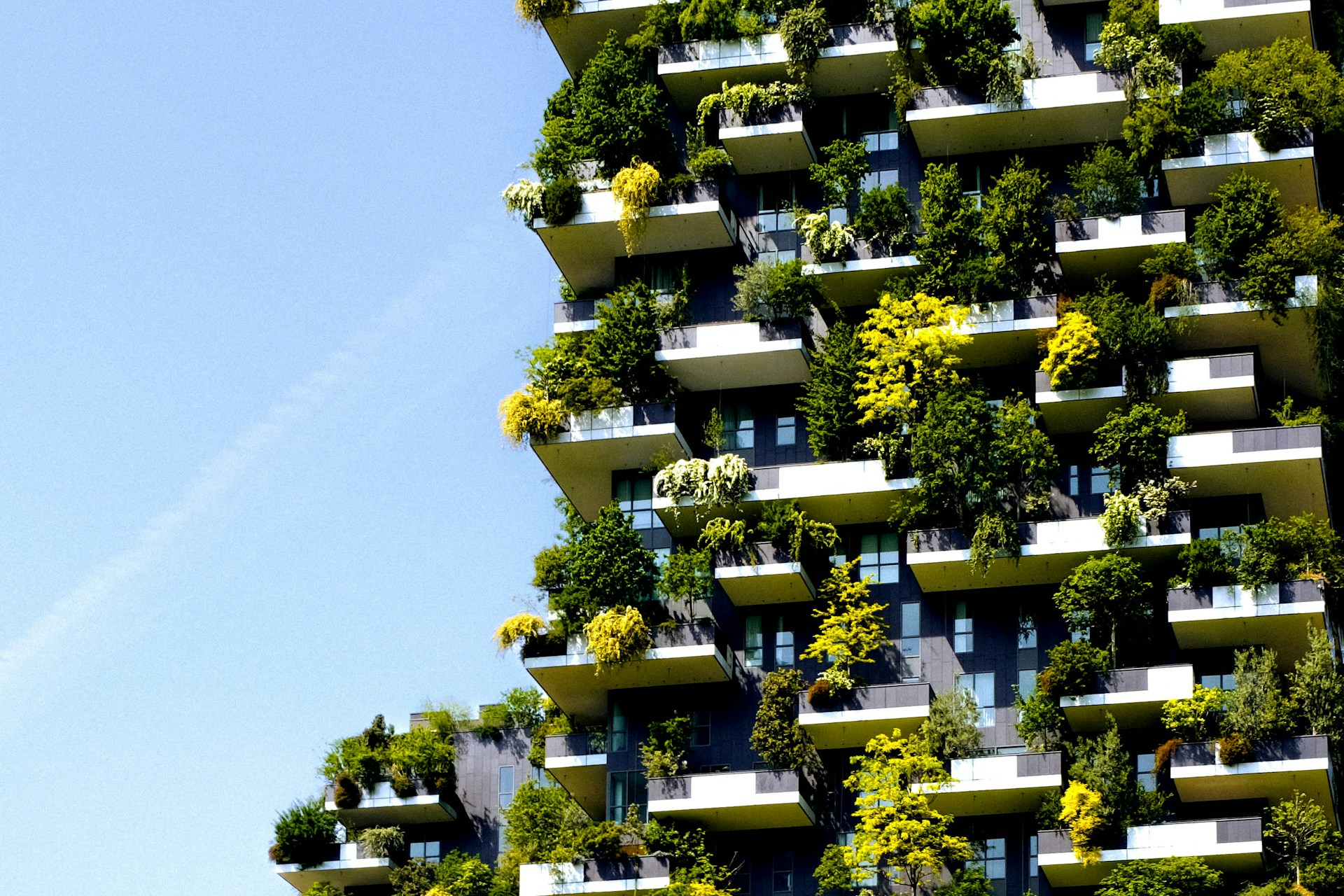 sustainability practices in real estate